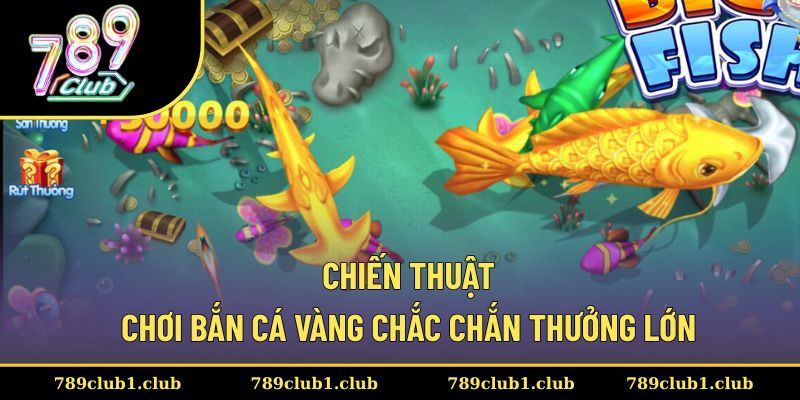 Thành viên áp dụng các chiến thuật chơi đảm bảo thắng