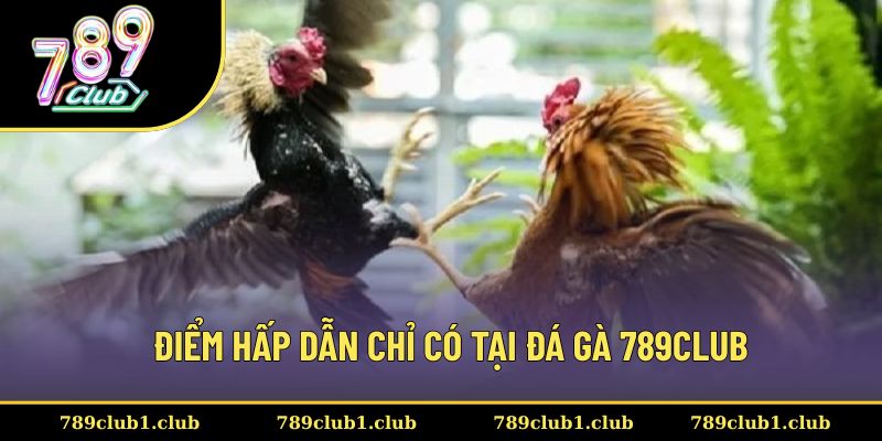 Sản phẩm chinh phục khách hàng bởi nhiều ưu điểm thú vị
