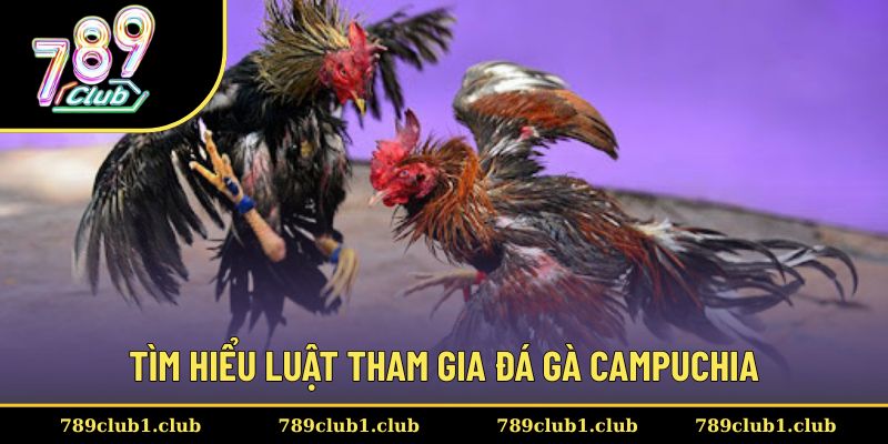 Luật tham gia đơn giản, dễ hiểu, giúp mọi người đều thực hiện được
