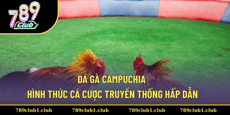 Đá gà Campuchia