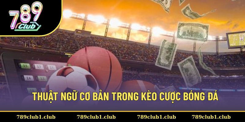 Một số thuật ngữ cơ bản trong kèo cá độ đá banh