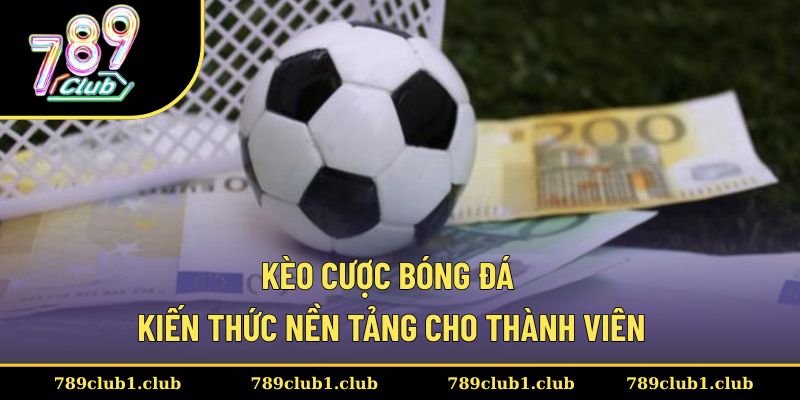 Kèo Cược Bóng Đá - Kiến Thức Nền Tảng Cho Thành Viên