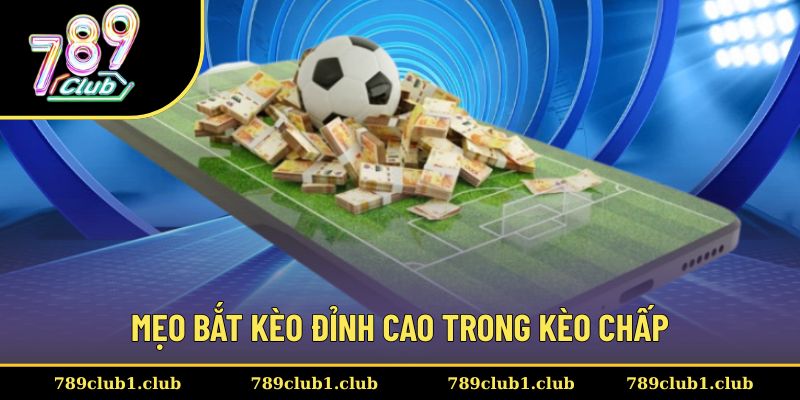 Thành viên tìm hiểu mẹo bắt kèo trong cược chấp