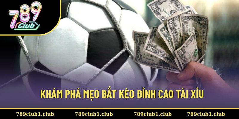 Mẹo bắt kèo đỉnh cao trong cá độ Tài Xỉu