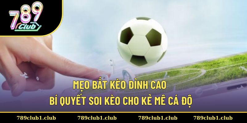 Mẹo bắt kèo đỉnh cao