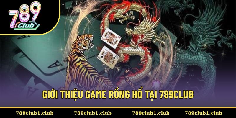 Thông tin chi tiết về sảnh chơi Rồng Hổ