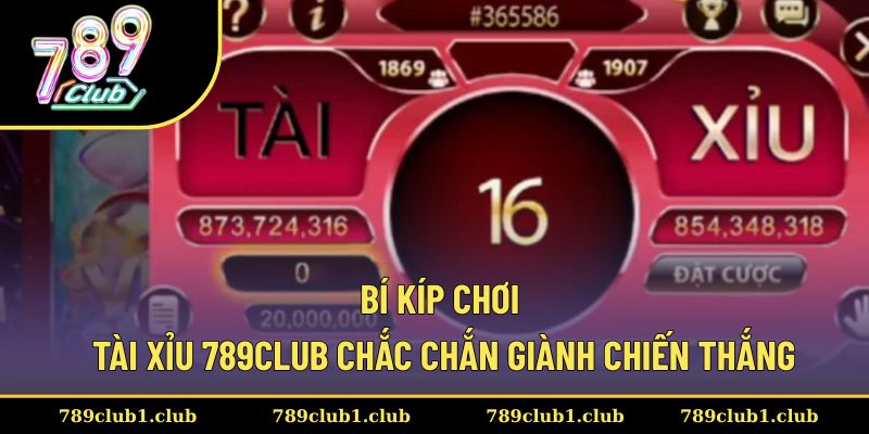 Thành viên sử dụng các bí kíp để thắng Tài Xỉu 789CLUB
