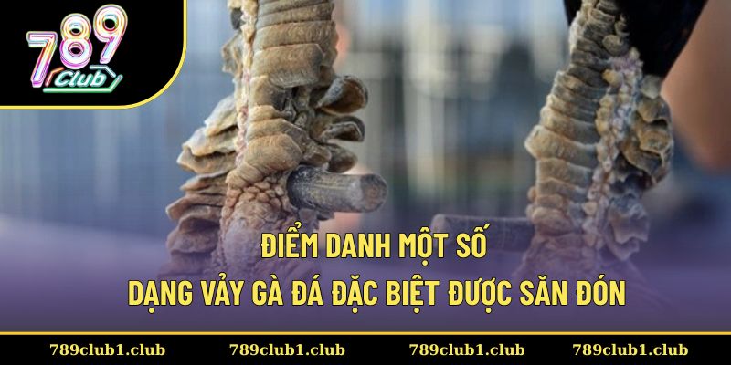 Một số dạng vảy gà đá đặc biệt không thể bỏ qua