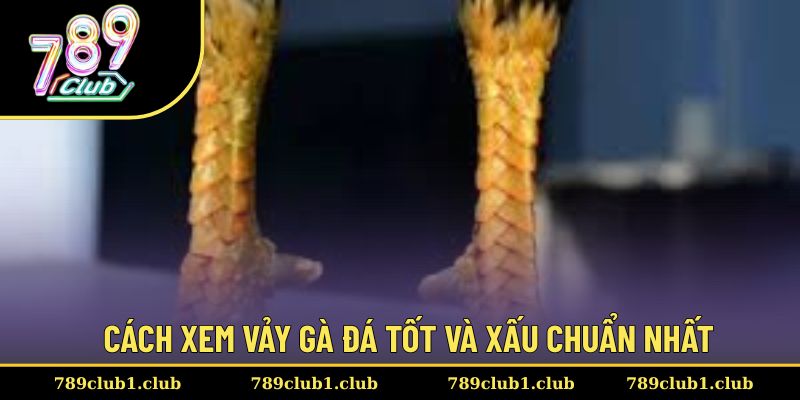 Khách hàng tìm hiểu cách lựa chọn vảy chuẩn nhất