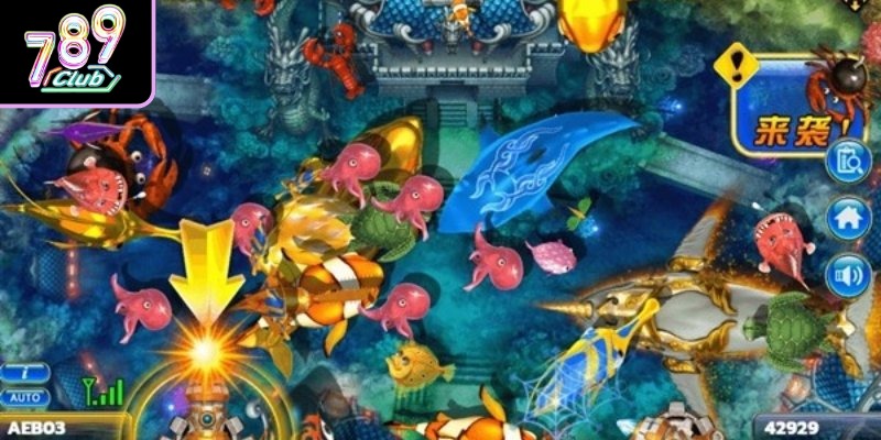 Chiến lược giúp game thủ dễ dàng thắng lớn