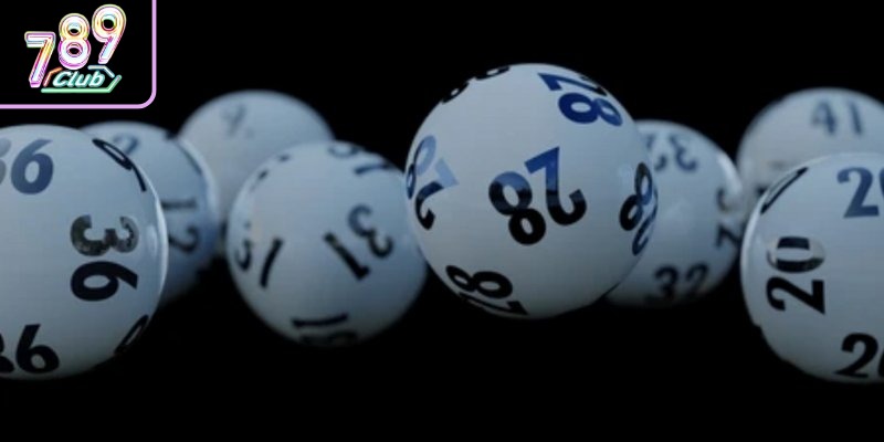 Nghiên cứu kỹ lưỡng về hệ thống dàn đề nuôi khung